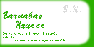 barnabas maurer business card